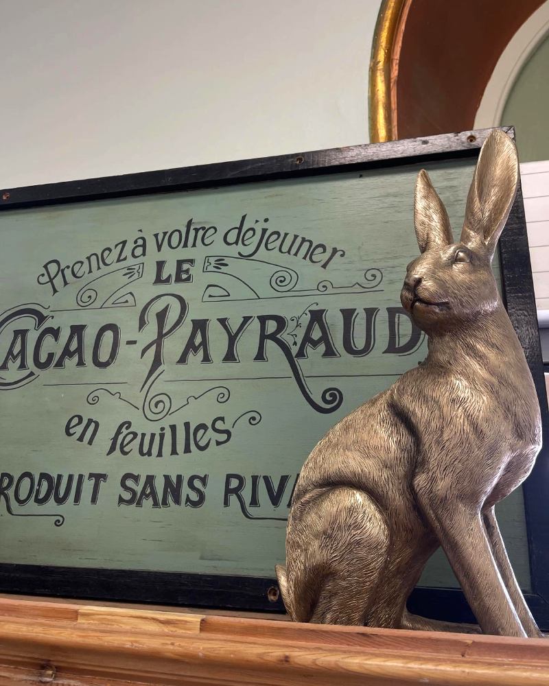 Tracey Curran from The Provincial Rabbit In Moonta, welcomes you with rabbits